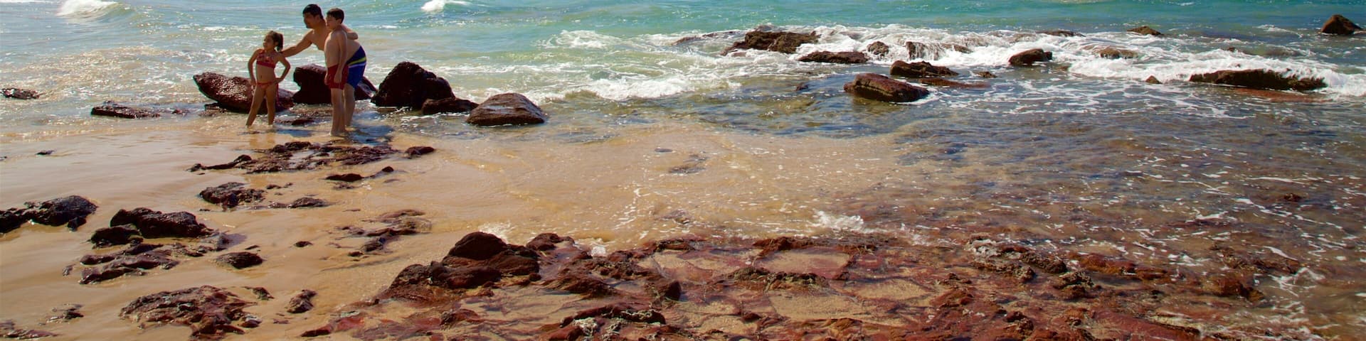 Mazatlán Hotel Guide