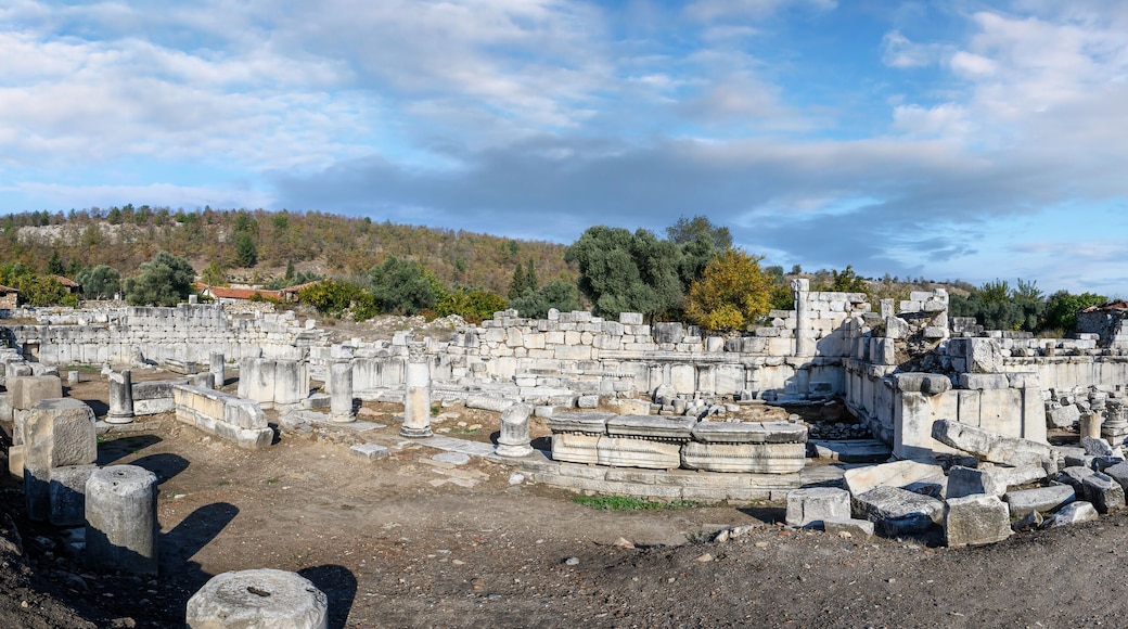 Stratonikeia Ancient City in Eskihisar, Mugla, Turkey.
