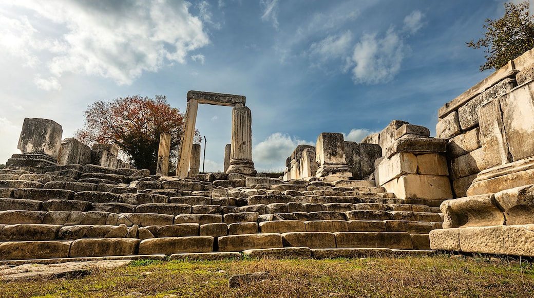 Altar located in the ancient sanctuary of lagina