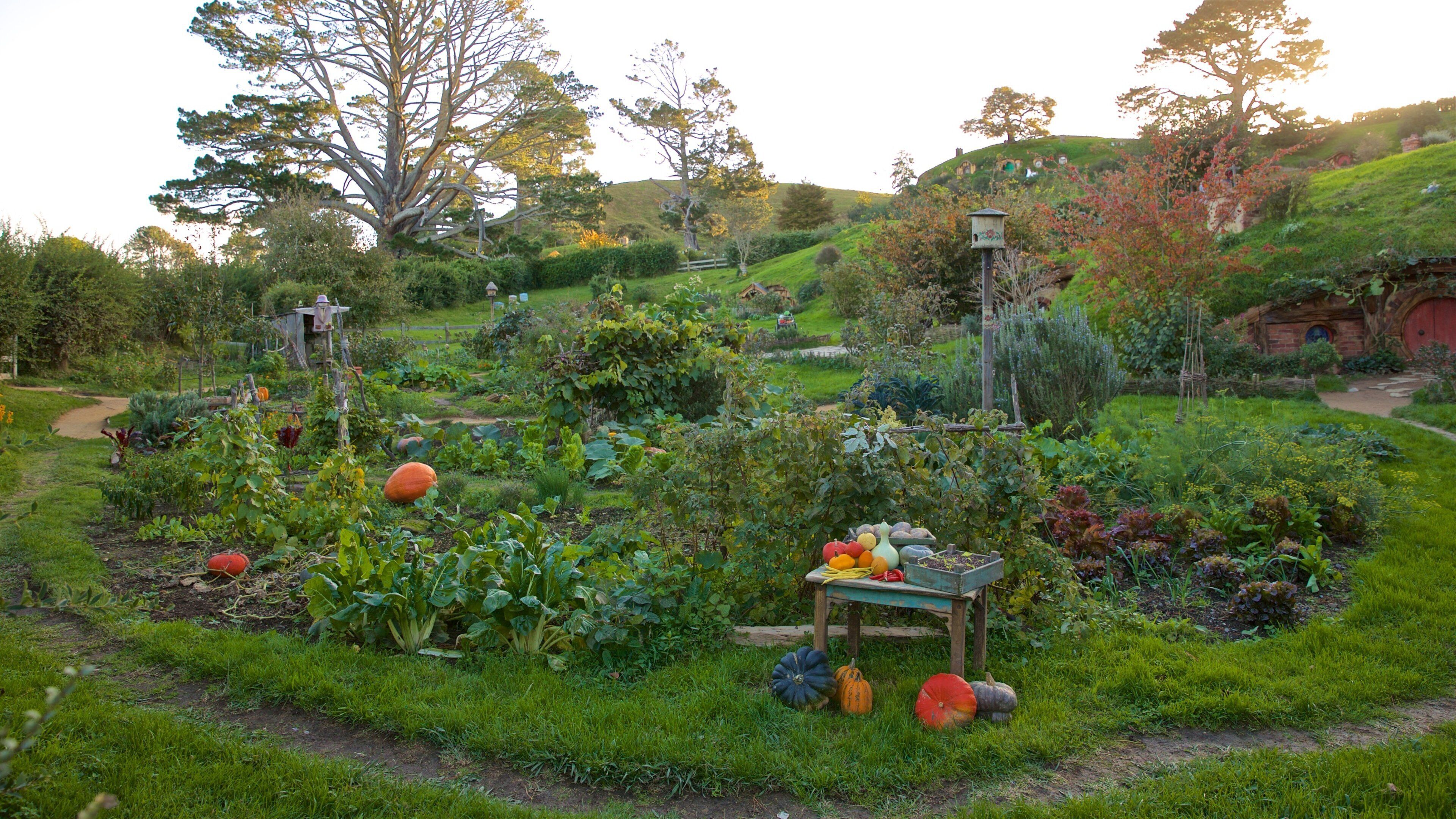 Hobbiton Movie Set which includes a park