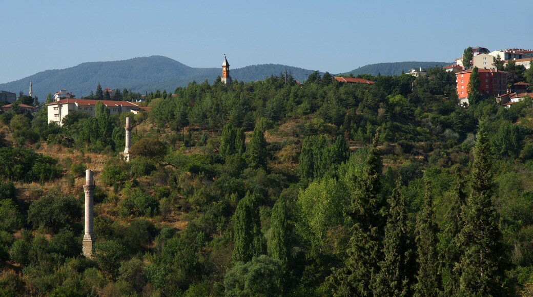 Bilecik is an old Ottoman city. It has historical mosques, houses and tombs.