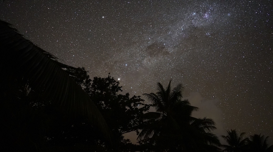 Night sky in the countryside of Tahiti