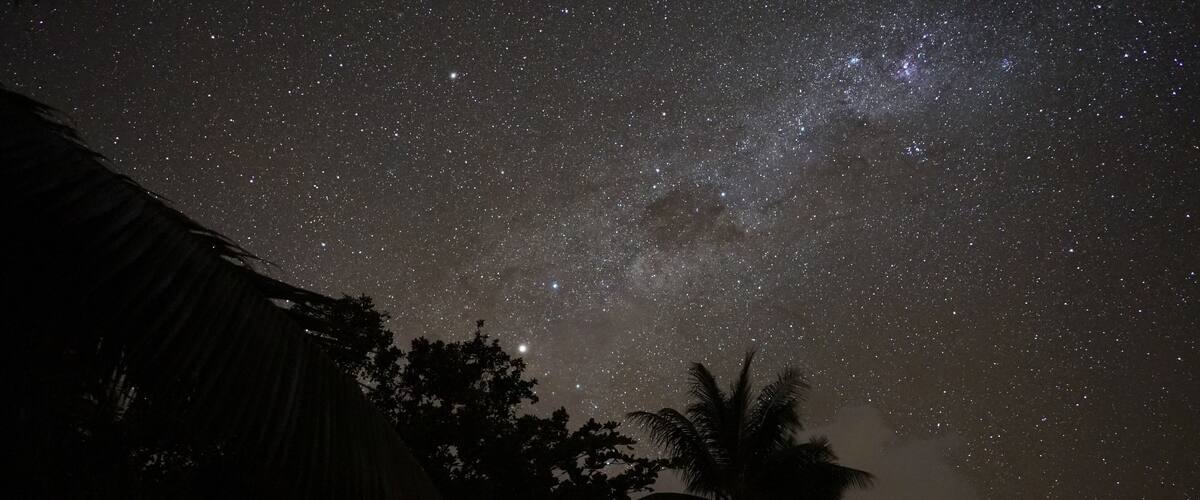 A night sky filled with stars, a visible galaxy, and silhouettes of palm trees and a thatched-roof structure.