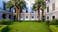 A courtyard with palm trees and a well-manicured lawn.
