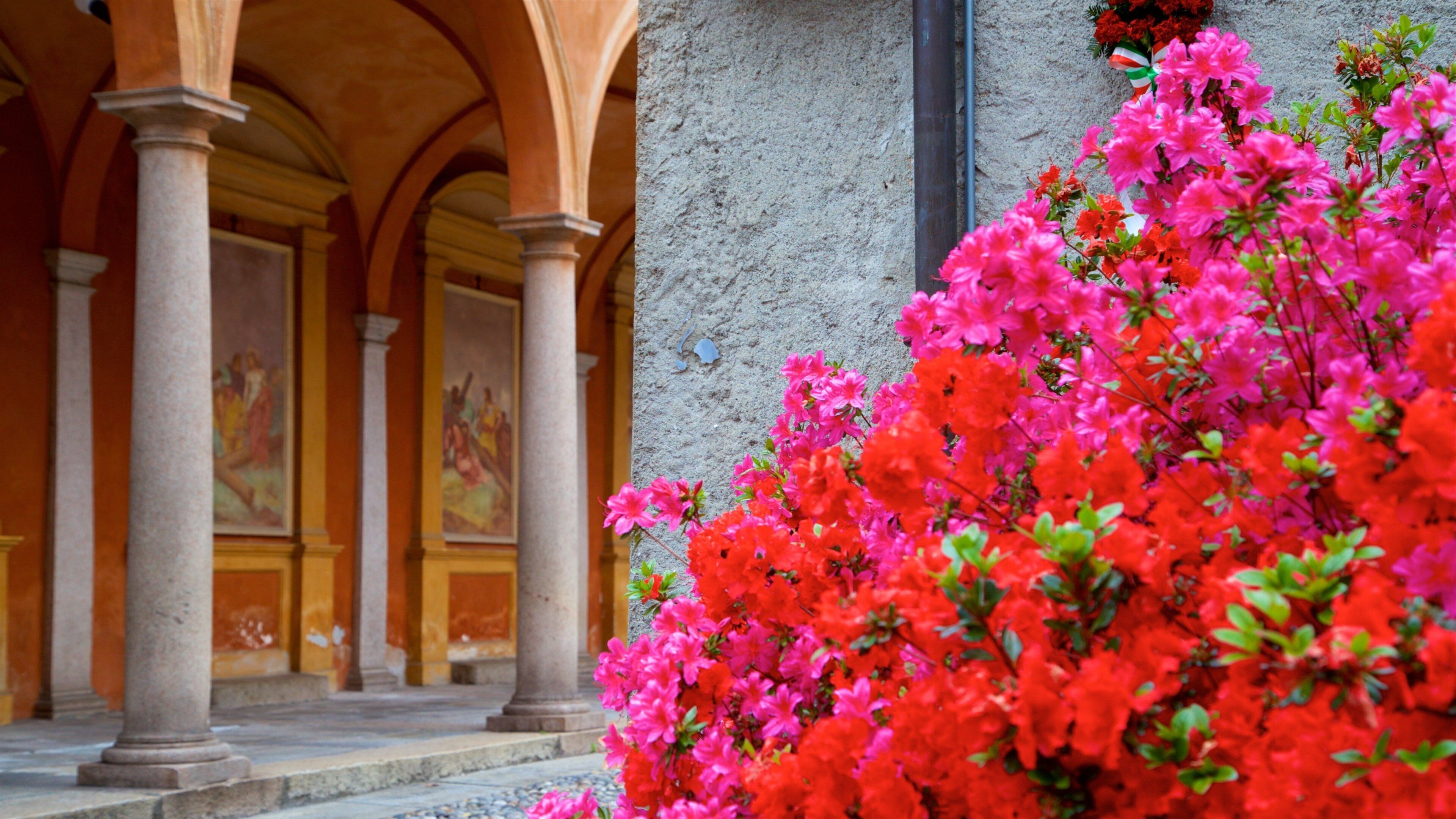 Chiesa dei SS. Gervaso e Protaso mit einem Geschichtliches und Wildblumen