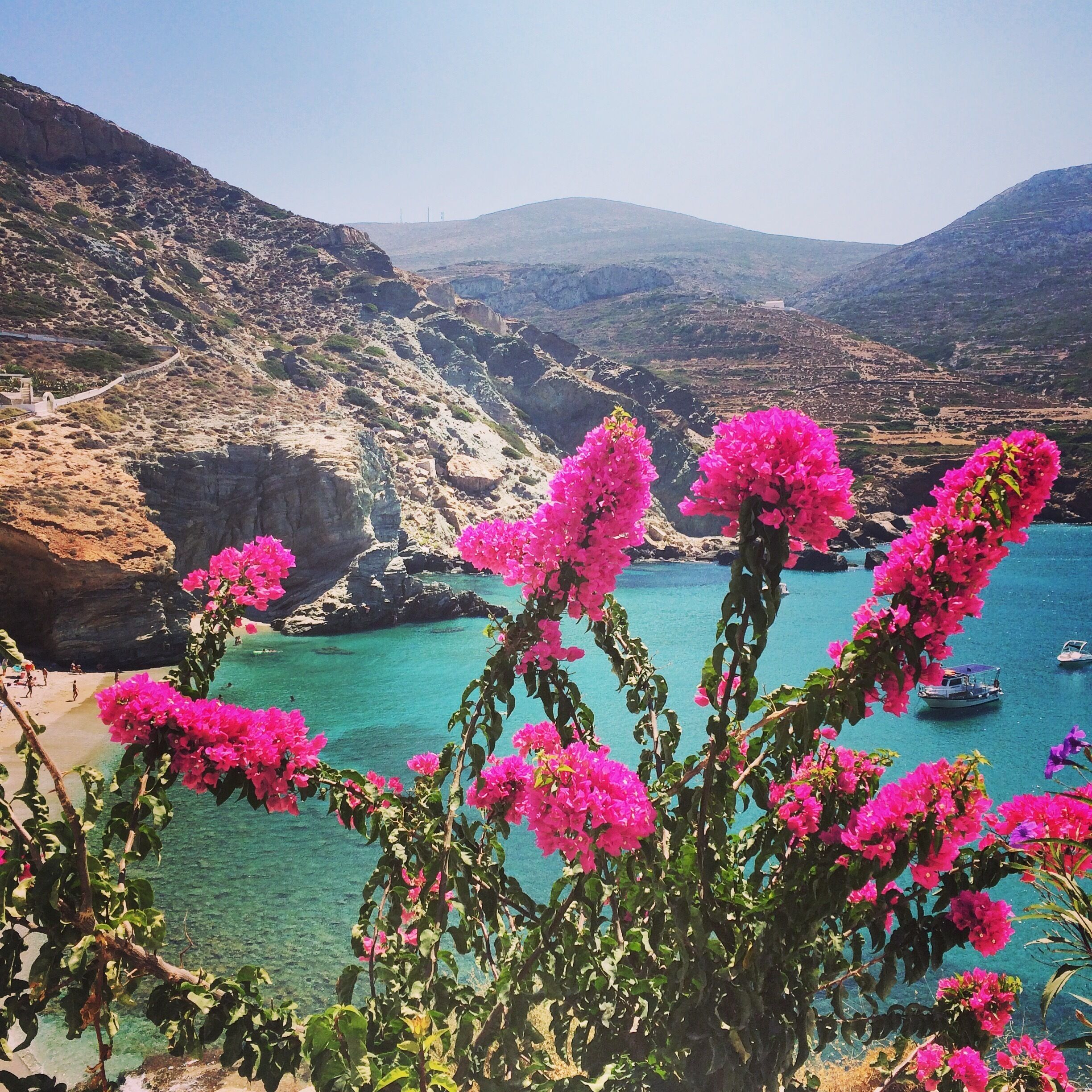 A coastal landscape with pink bougainvillea flowers in the foreground, clear turquoise waters, rocky cliffs, and a distant view of a small boat.