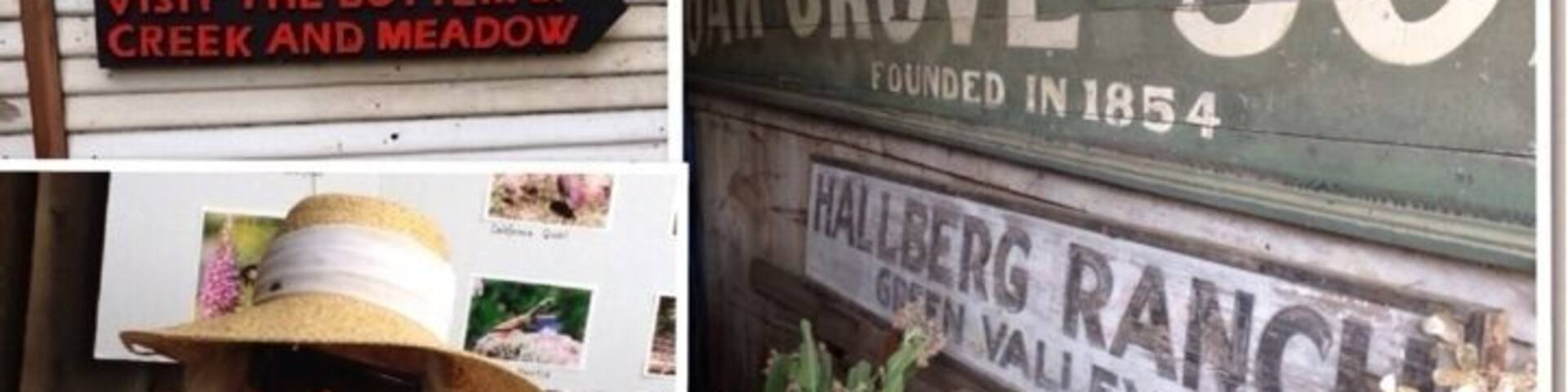 Nice afternoon visiting the Butterfly gardens. Rambling acres dedicated to butterflies. Mrs. H was born and raised and still lives here - 90-some years old. Very cool old barns.