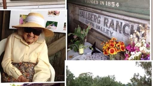 Nice afternoon visiting the Butterfly gardens. Rambling acres dedicated to butterflies. Mrs. H was born and raised and still lives here - 90-some years old. Very cool old barns.