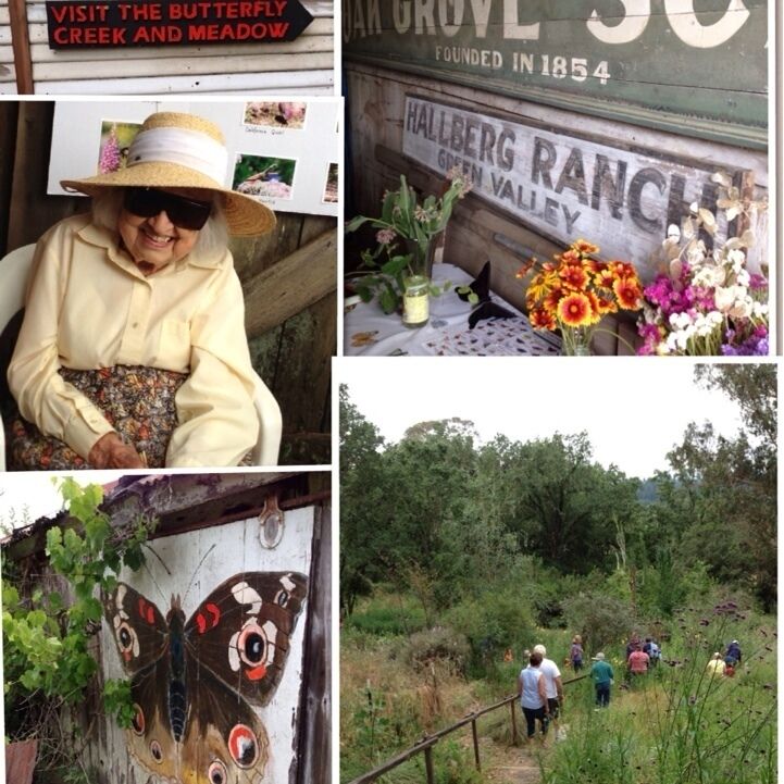 A woman in a hat, a sign for Hallberg Ranch, a butterfly mural, and a group hiking.