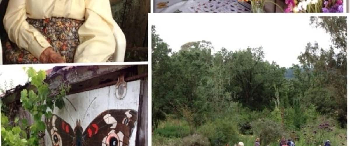 A woman in a hat, a sign for Hallberg Ranch, a butterfly mural, and a group hiking.