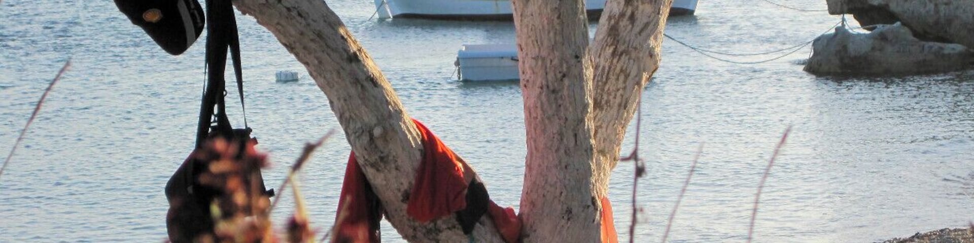 A beach, seven in the evening of a day in late August with the warmth of the red sun at sunset which warms every molecule, every breath, every thought. The tamarisk-candid-lilies, bees. The blue sea of white foam on the shore. The blond children of the sun. Pistachios, ouzaki, bare feet. The warm inside. The feeling that your skin is only a gap-getting thinner, almost to vanishing-between you and the light. And the shocking beauty of intuition that you have a place in that light.