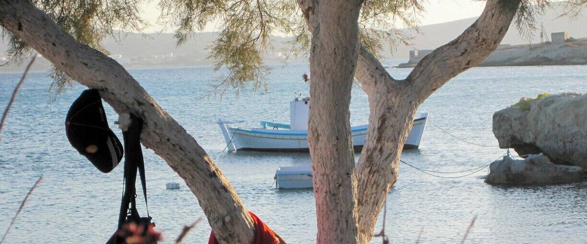 A tree with a hat and a red cloth hanging on it, a boat on the water, and a rocky shoreline.