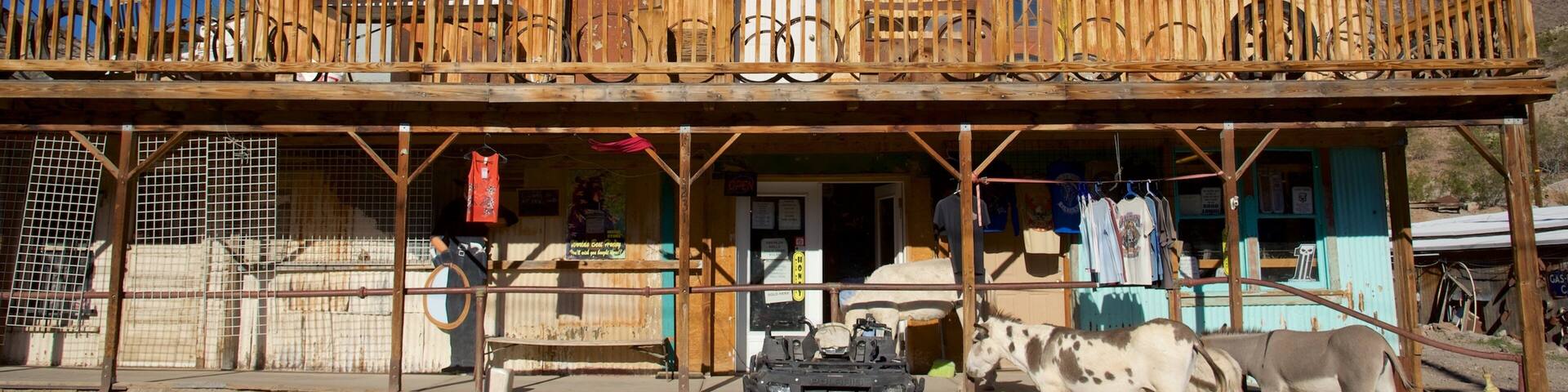 Oatman which includes land animals and street scenes