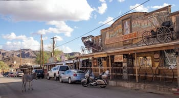 Along the old Route 66 you can find little gems such as the old mining town of Oatman. The scenic route winds it's way along the cliffs and the views are breathtaking! The old highway and the towns along it give you a glimpse of the past. The little town is also famous for it's wild roaming donkeys, which are the descendants of those used by miners long ago.