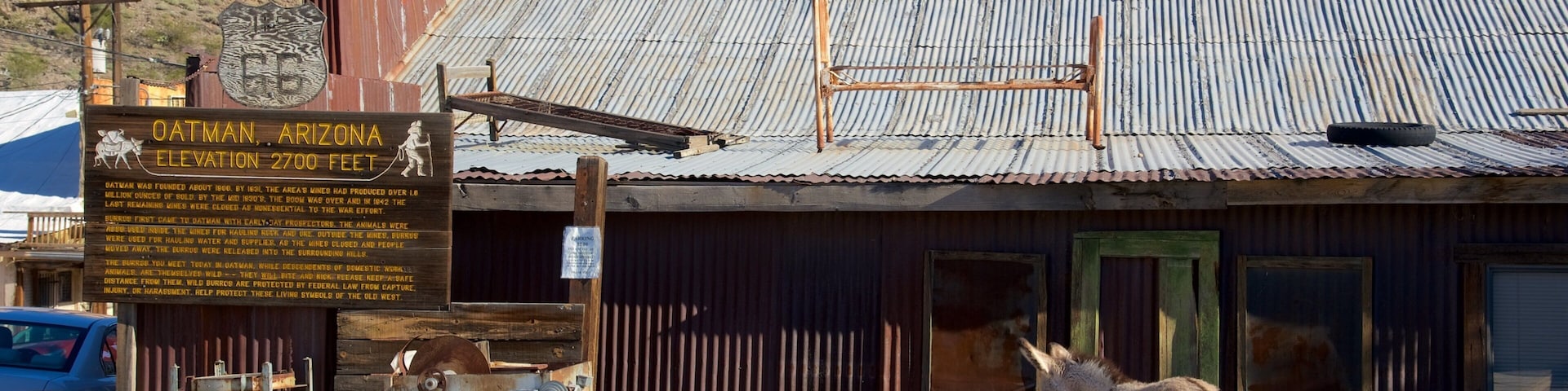 Oatman que incluye escenas cotidianas y animales terrestres