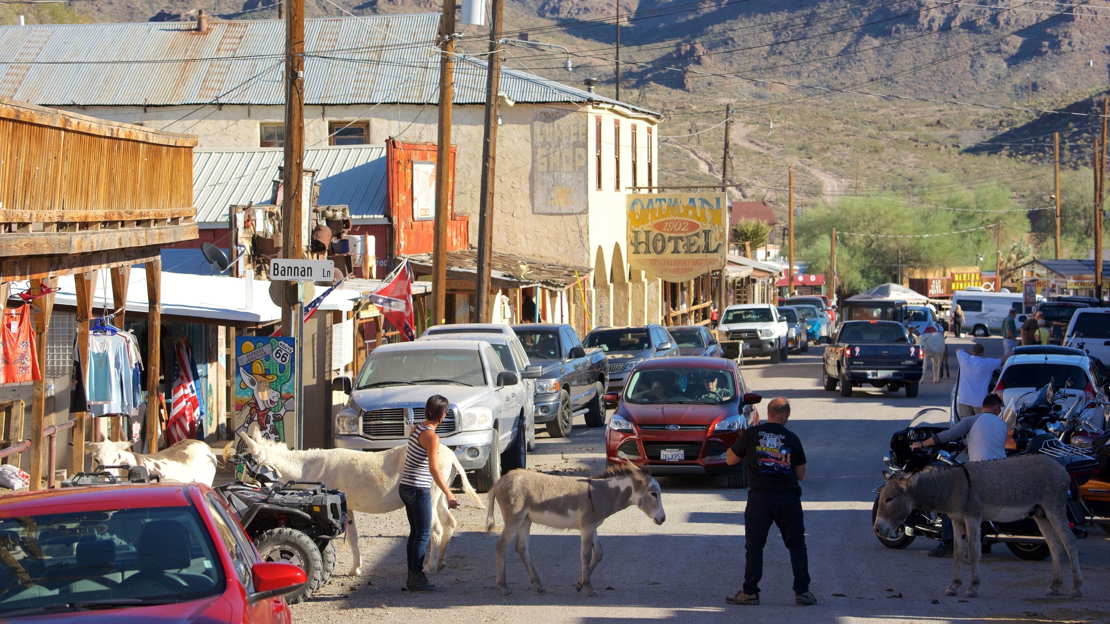 Oatman cho thấy động vật trên can và cảnh đường phố