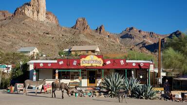 Oatman featuring land animals and street scenes