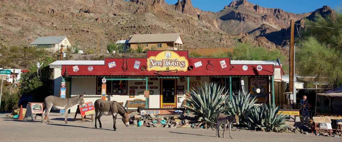 A building with a sign reading "New Diggins" and a donkey statue in front.