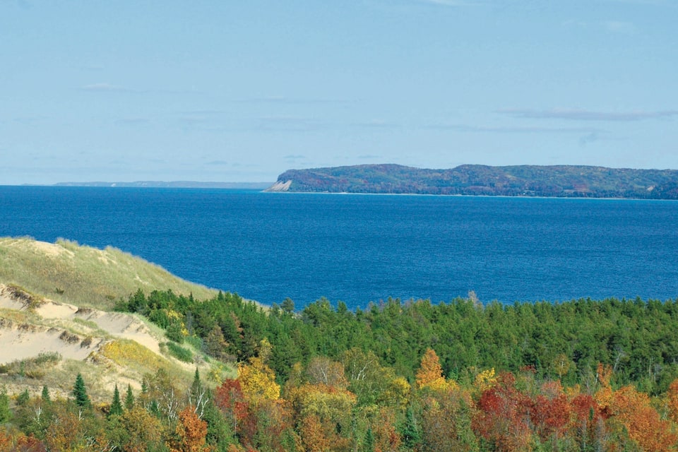 A coastal landscape with a sandy dune, dense forest, and a large body of water.
