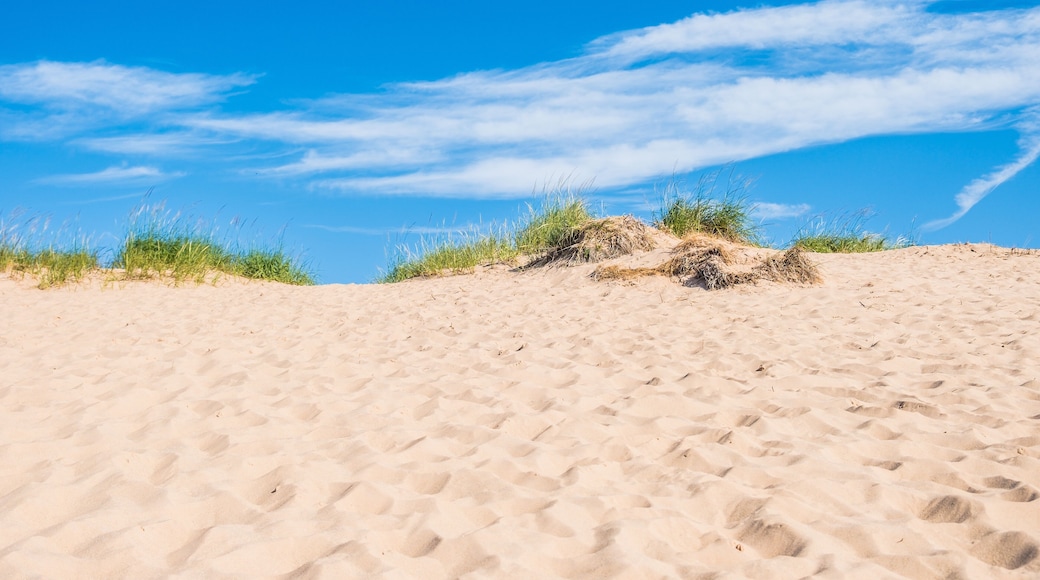 Sand dunes of Sleeping Bear Dunes National Lakeshore in Michigan.