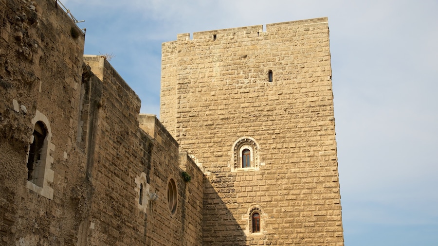 Norman Castle showing château or palace and heritage architecture