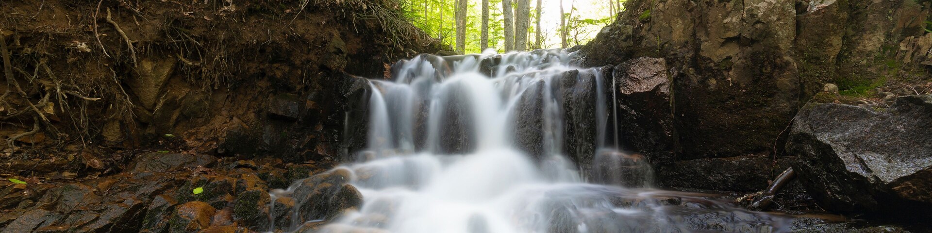 Una cascada en un área boscosa con terreno rocoso y follaje verde denso.