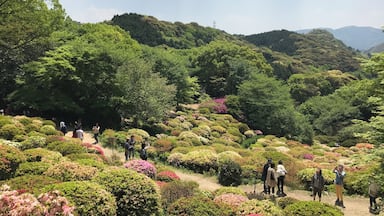 御船山楽園のツツジ谷
