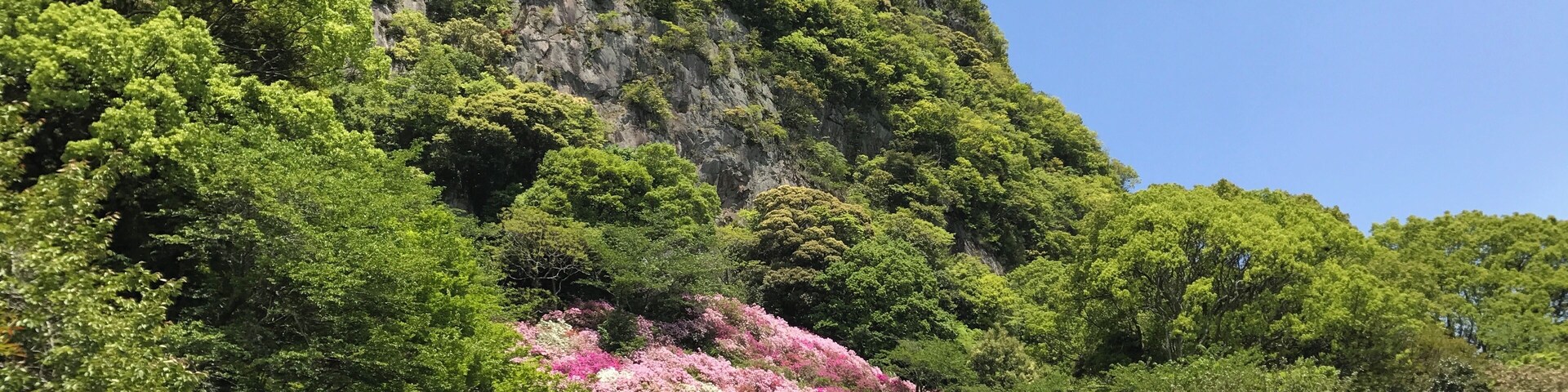 御船山楽園のツツジ谷と御船山