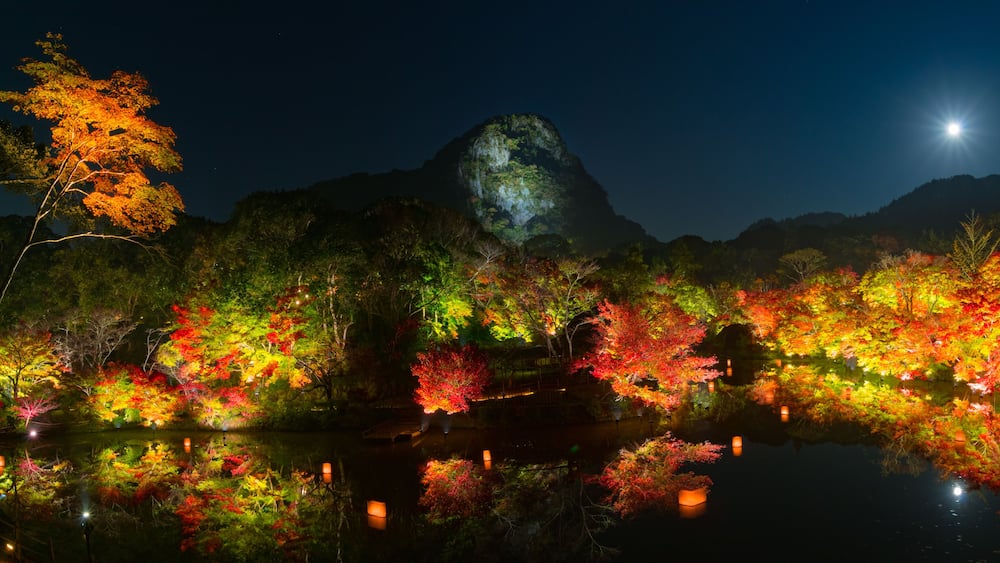 紅葉とライトアップ