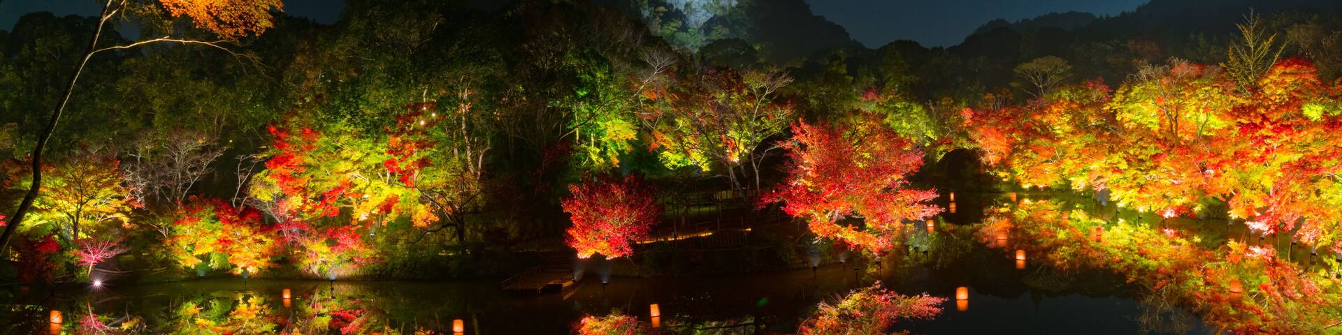 紅葉とライトアップ