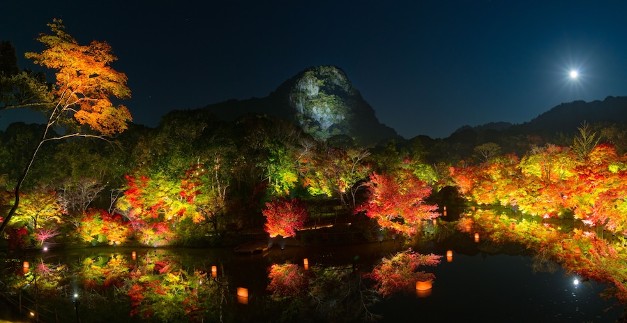 紅葉とライトアップ
