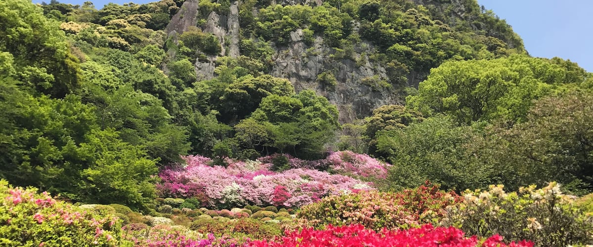 御船山楽園のツツジ谷と御船山