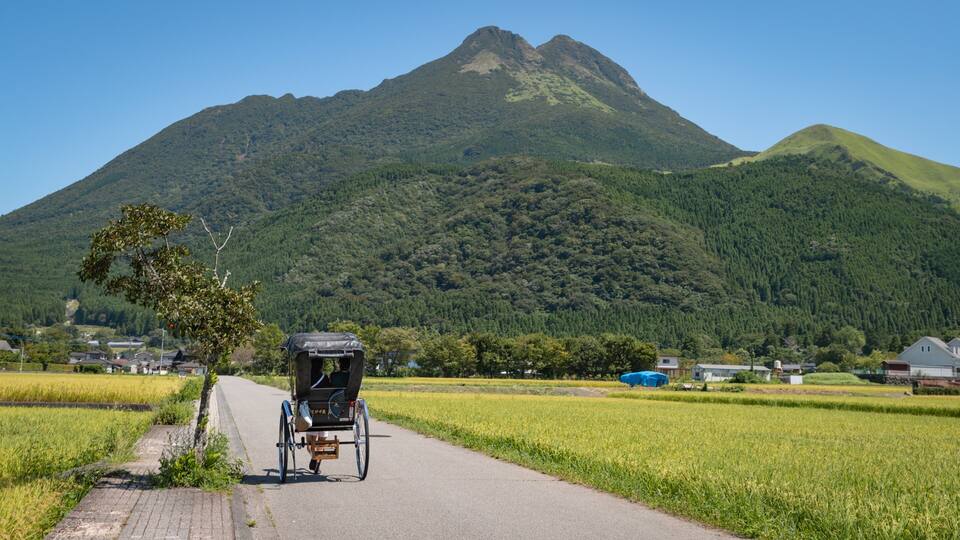 A rural landscape with a mountain in the background, a path, and a traditional carriage.