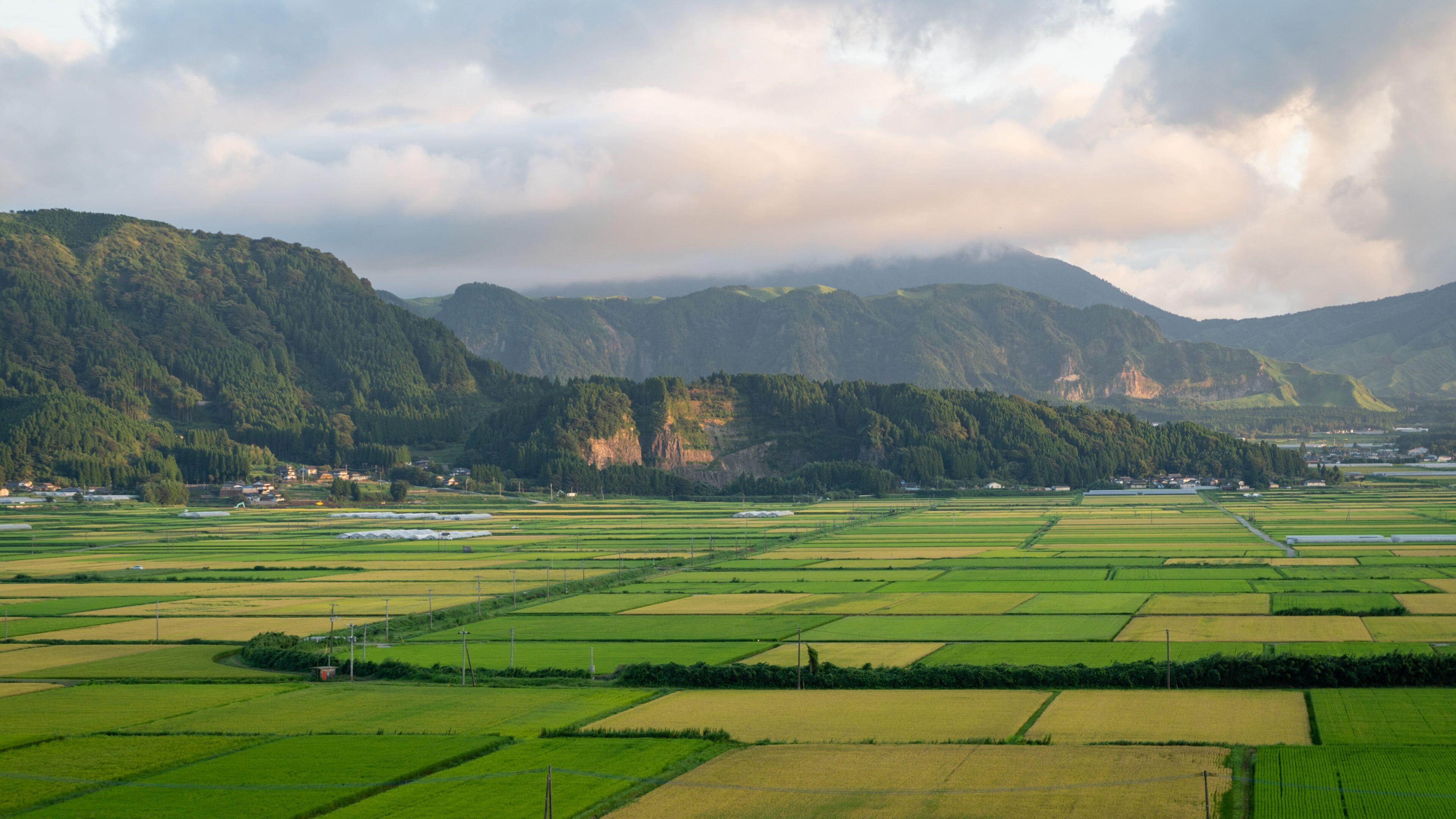 Yufuin which includes landscape views and farmland