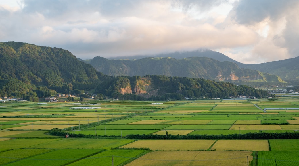 Yufuin which includes landscape views and farmland