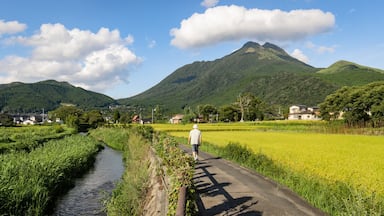 Paisagem rural com um rio, um homem caminhando por uma trilha, casas e uma montanha ao fundo.