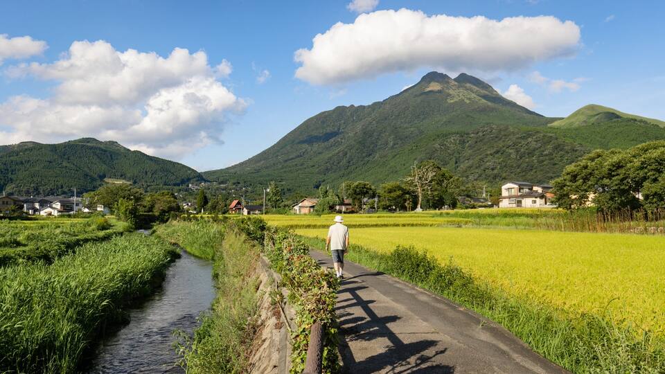 A rural landscape with a river, a man walking on a path, houses, and a mountain in the background.