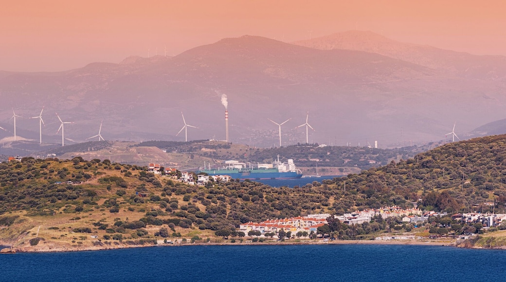 Wind farm generating renewable energy near the sea with a cargo ship sailing in the background