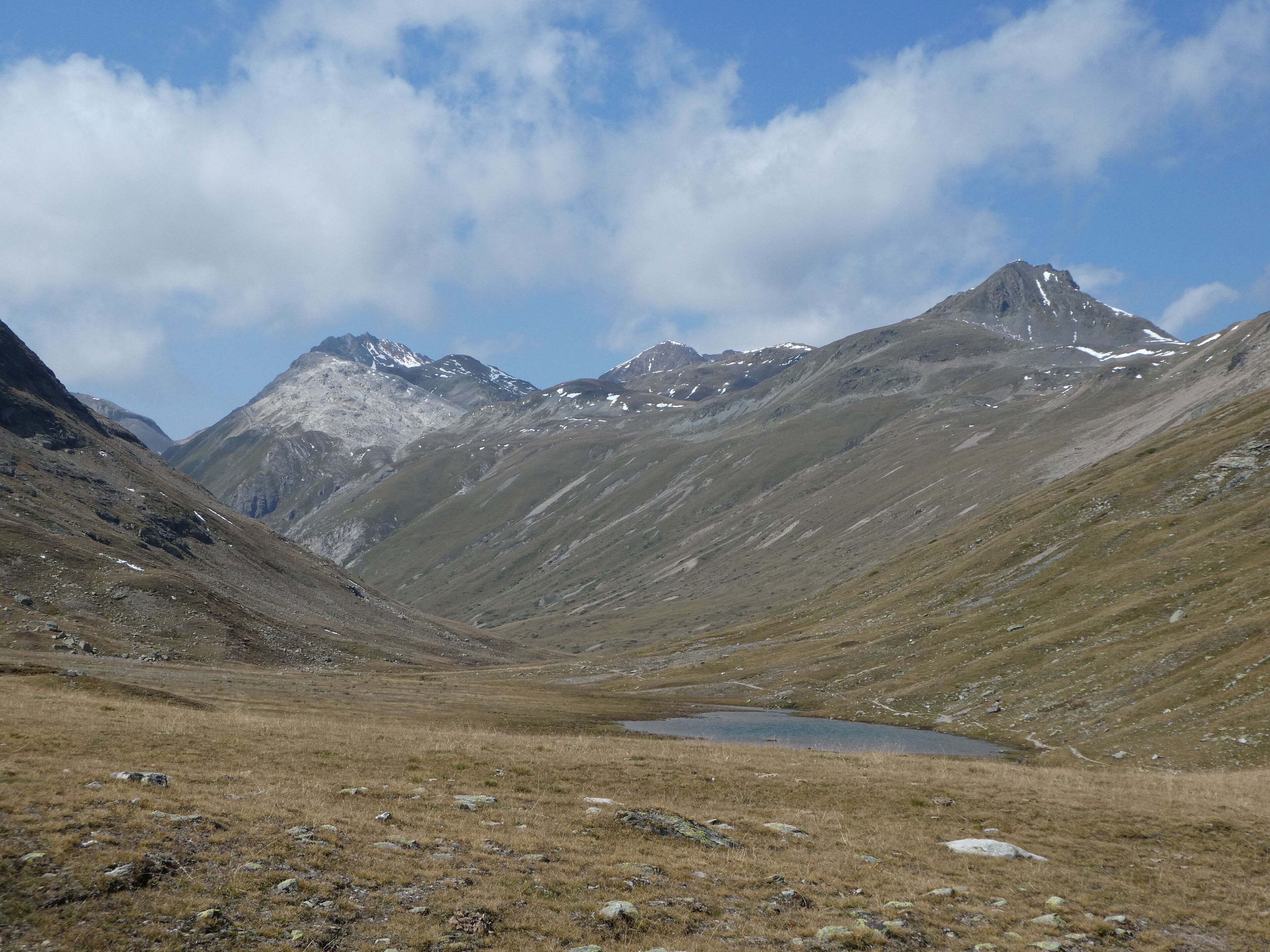 Piz Tschüffer, Piz Pischa, Piz Sagliaint, Piz Languard, Piz Prüna and Piz Chatscheders as seen from La Stretta (Pontresina, Grison, Switzerland / Livigno, Sondrio, Lombardy, Italy)