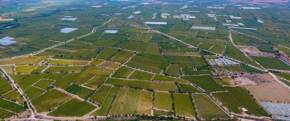 An aerial view of a large agricultural area with numerous fields, roads, and scattered buildings.