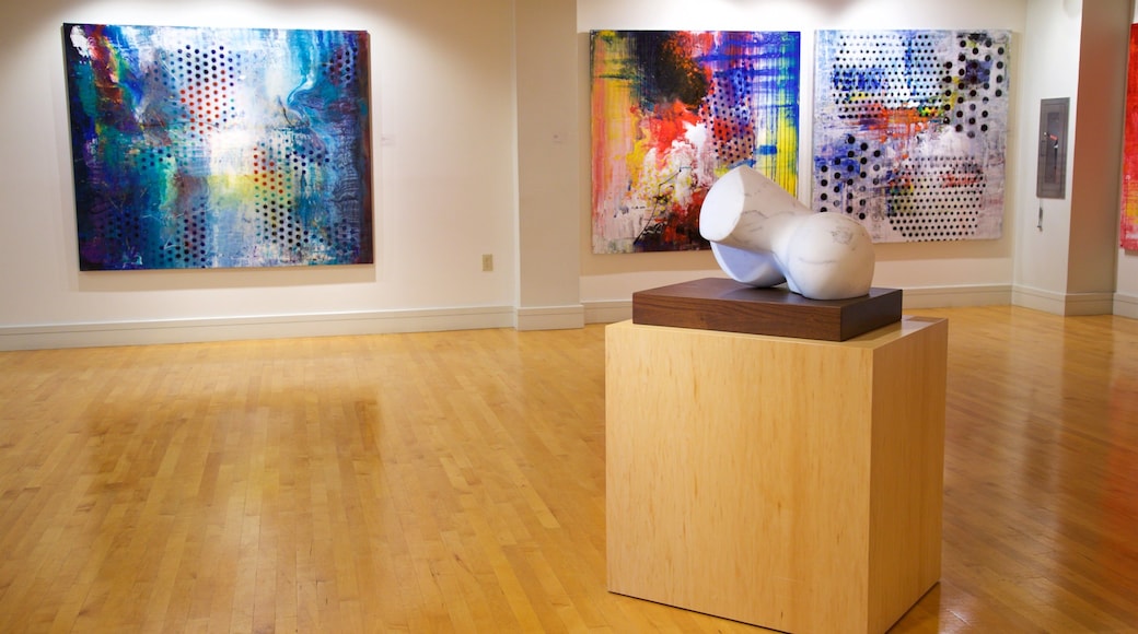 Coral Springs Museum of Art