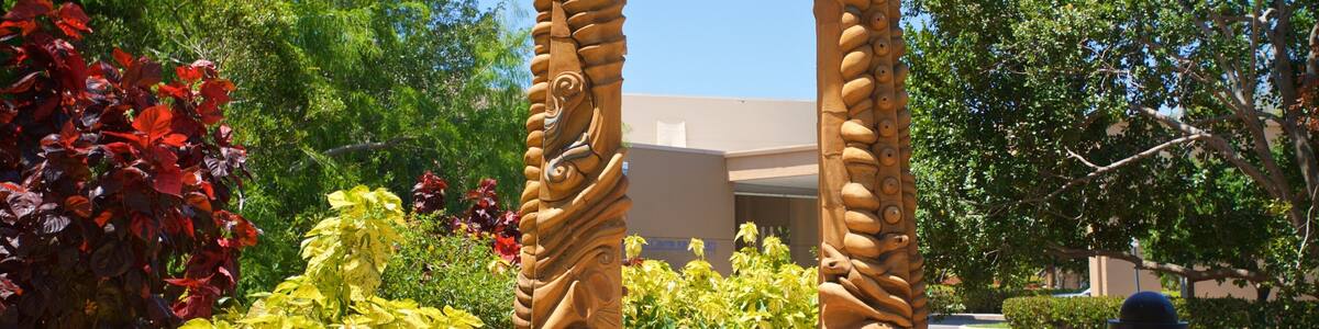 Coral Springs Museum of Art featuring outdoor art and a park