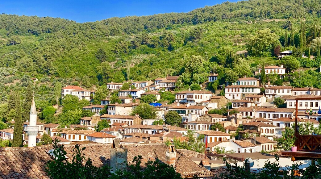 Beautiful terrace houses and lots of shops here. A nice place to visit while in Selcuk
