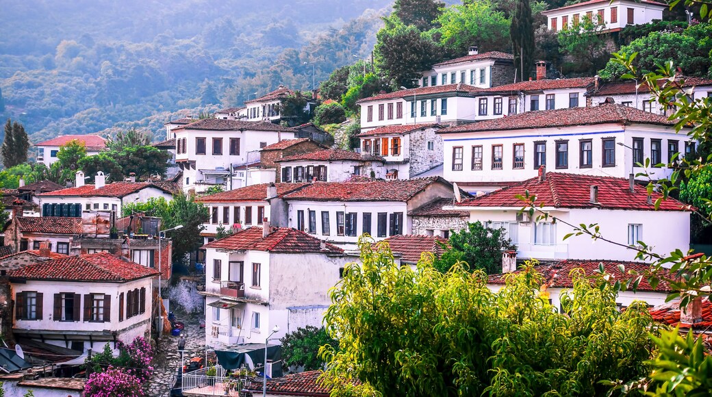 Şirince