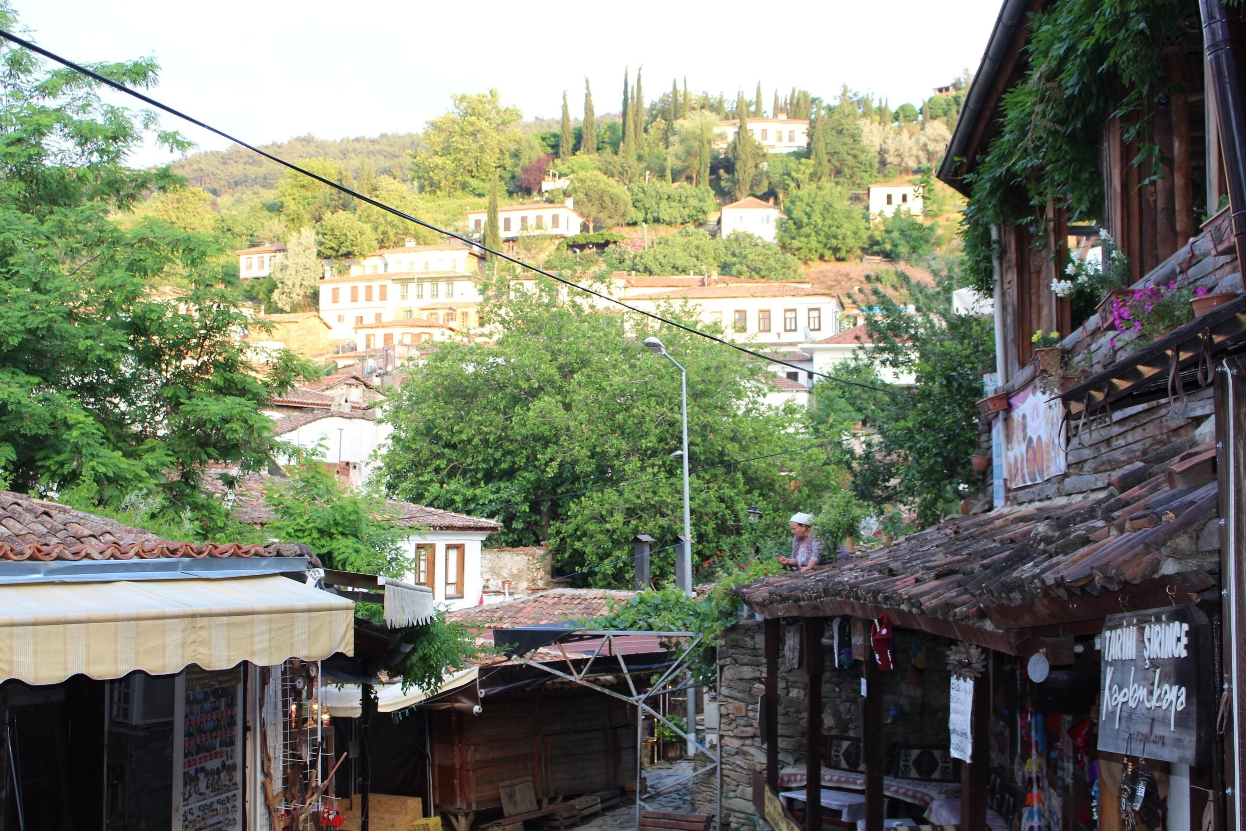 Şirince, Selçuk, İzmir, Turkey 
#green #greenphotosweepstakes 