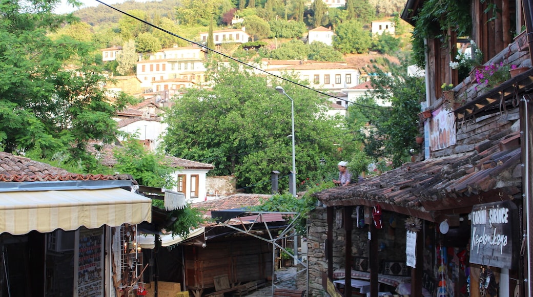 Şirince, Selçuk, İzmir, Turkey
#green #greenphotosweepstakes