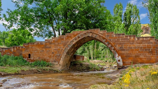 Historic bridge built by the Selcuk Turks, known also as Bayindir Bridge in Ahlat, the province of Bitlis, Turkey