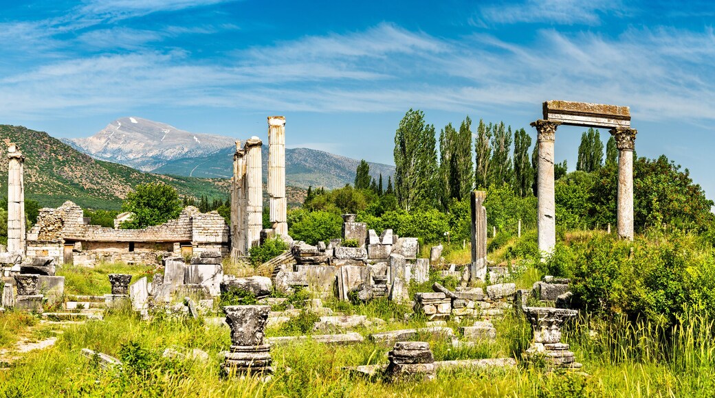 Ruins of Aphrodisias in Turkey