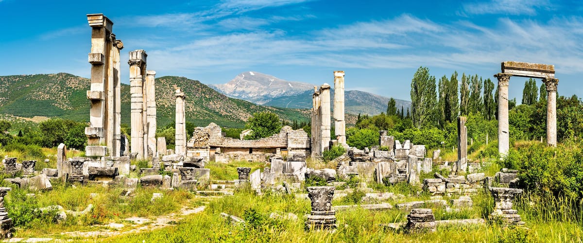 Ancient ruins with columns and stone structures amidst lush greenery and mountains in the background.
