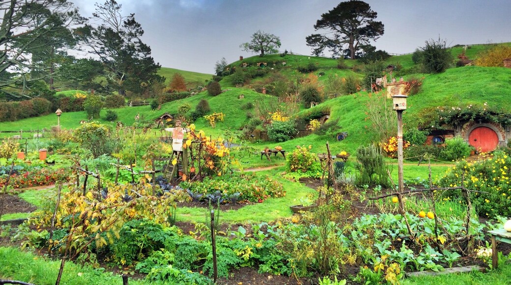 A visit to Hobbiton is a must-do for any Lord of the Rings fan. Return trips from Rotorua are $110 including the tour, and it's absolutely worth it.